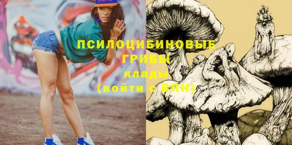 стафф Нягань