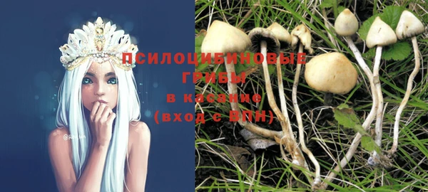 альфа пвп Нязепетровск